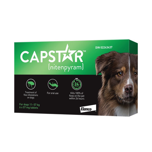 Capstar Large Dog Flea Treatment - 6 pk