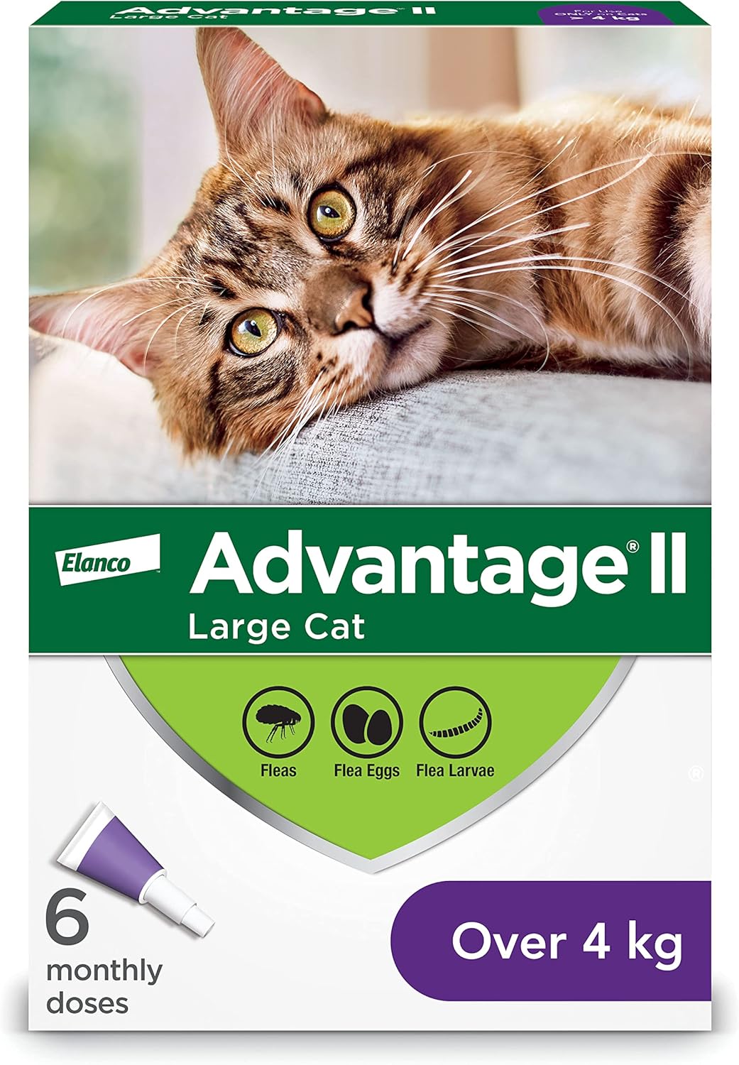 Advantage II Large Cat Once-A-Month Topical Flea Treatment > 4 kg