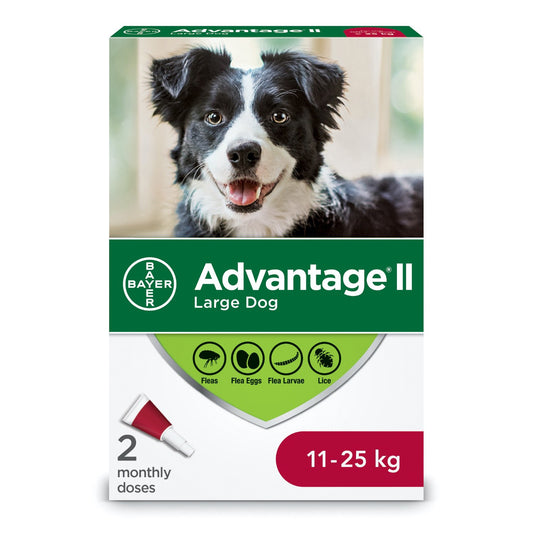 Advantage II Large Dog Once-A-Month Treatment 11-25 kg