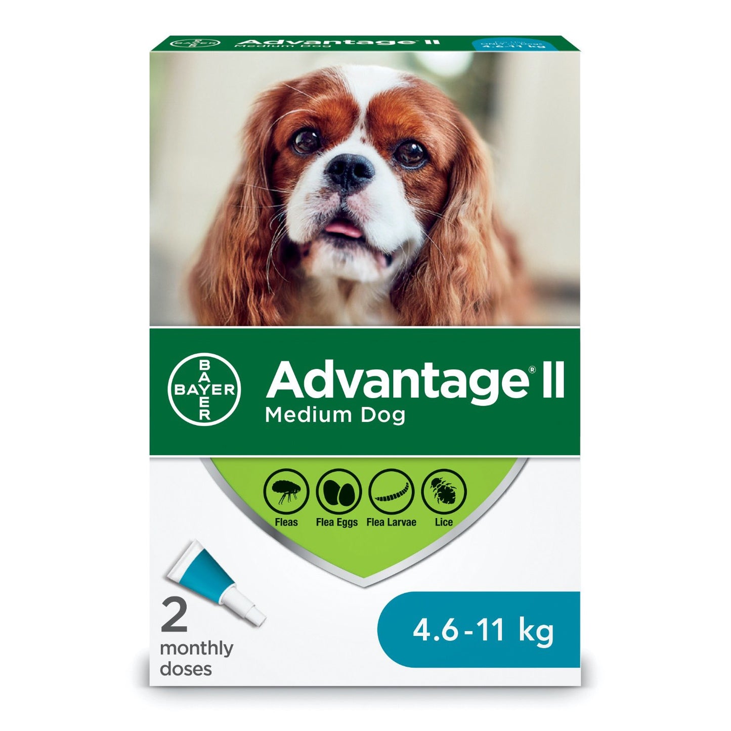 Advantage II Medium Dog Once-A-Month Treatment 4.6-11 kg